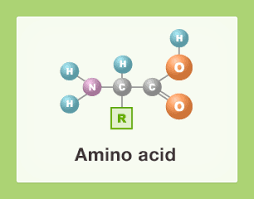 Amino acids supplier